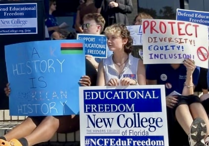 A group of protesters sitting on steps with signs. One sign reads "Protect Diversity Equity Inclusion."